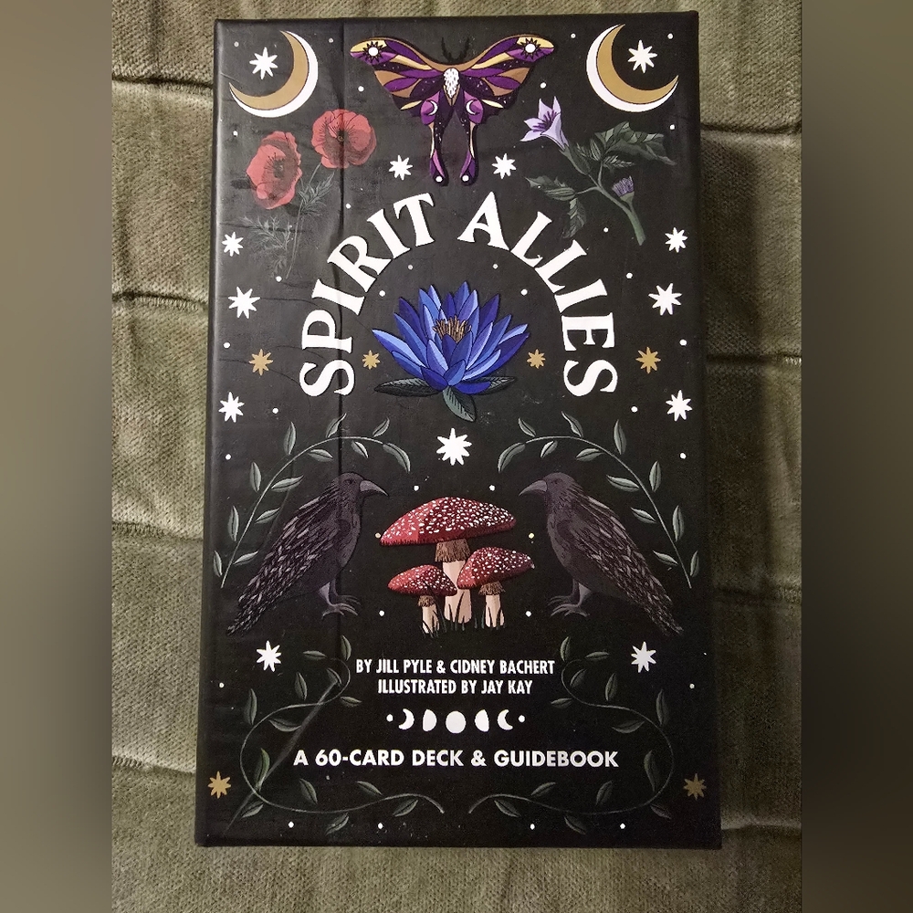 Spirit Allies Card Deck and Guidebook